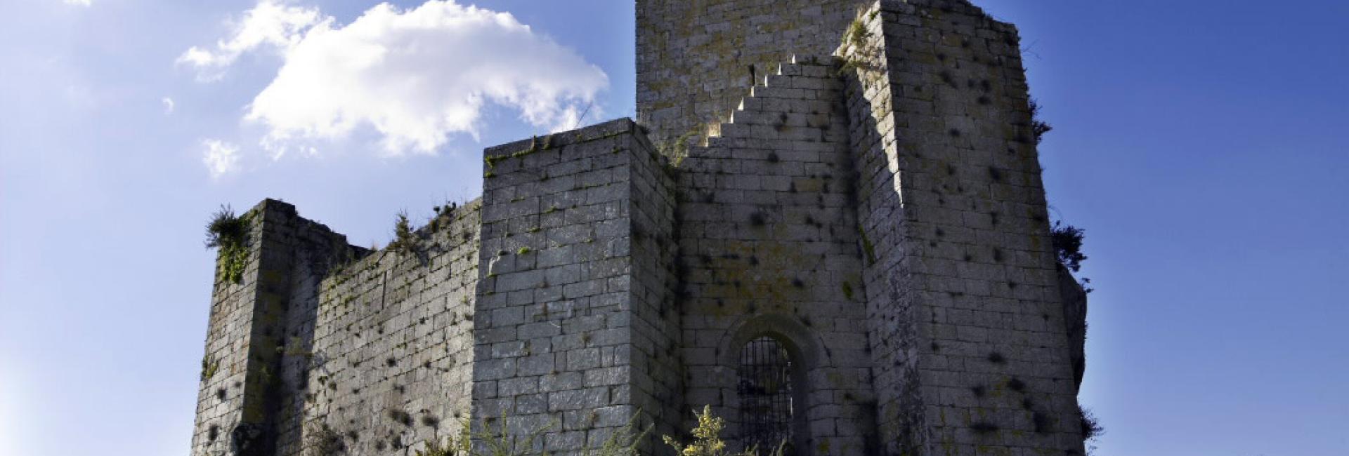 Castle of the Andrade family