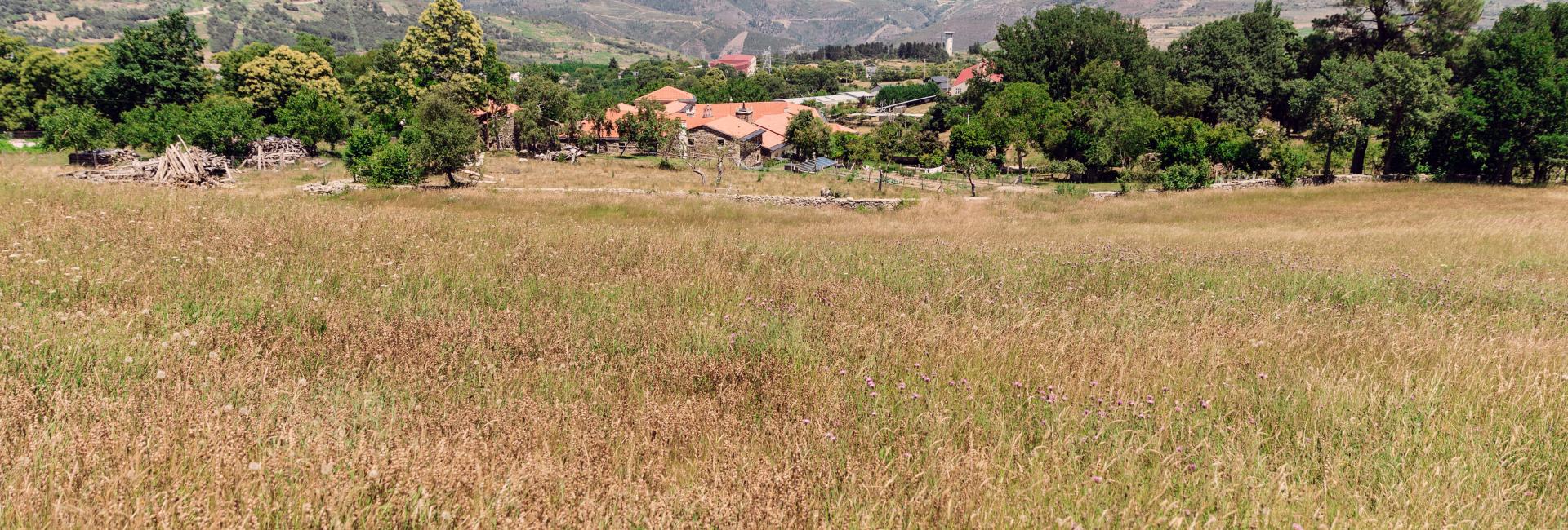 Pazo (Galician manor house) da Pena