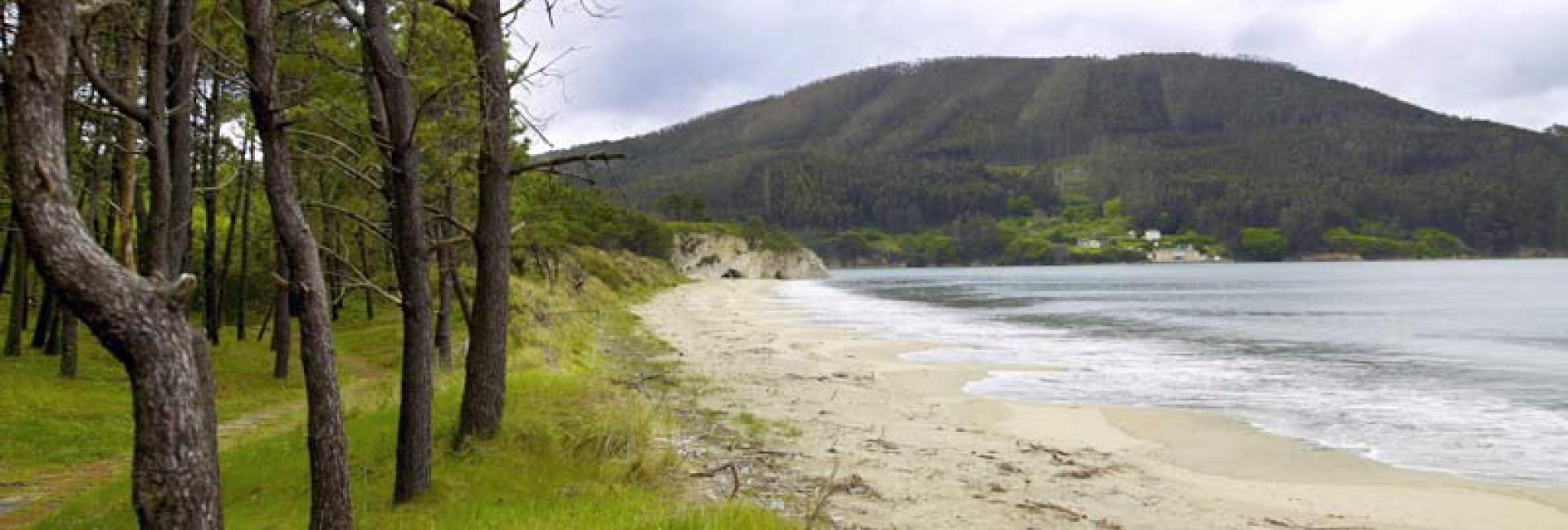Arealonga's beach. O Vicedo