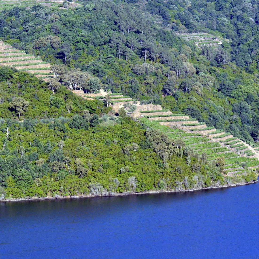 Ribeira Sacra. Canón do Miño
