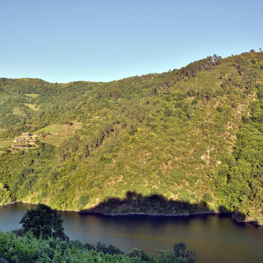 Ribeira Sacra. Canón do Miño