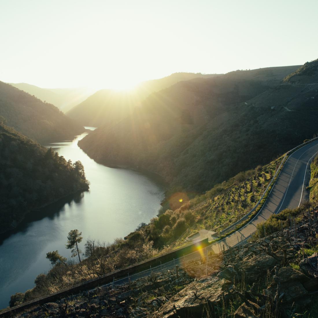 Ribeira Sacra. Canón do Sil