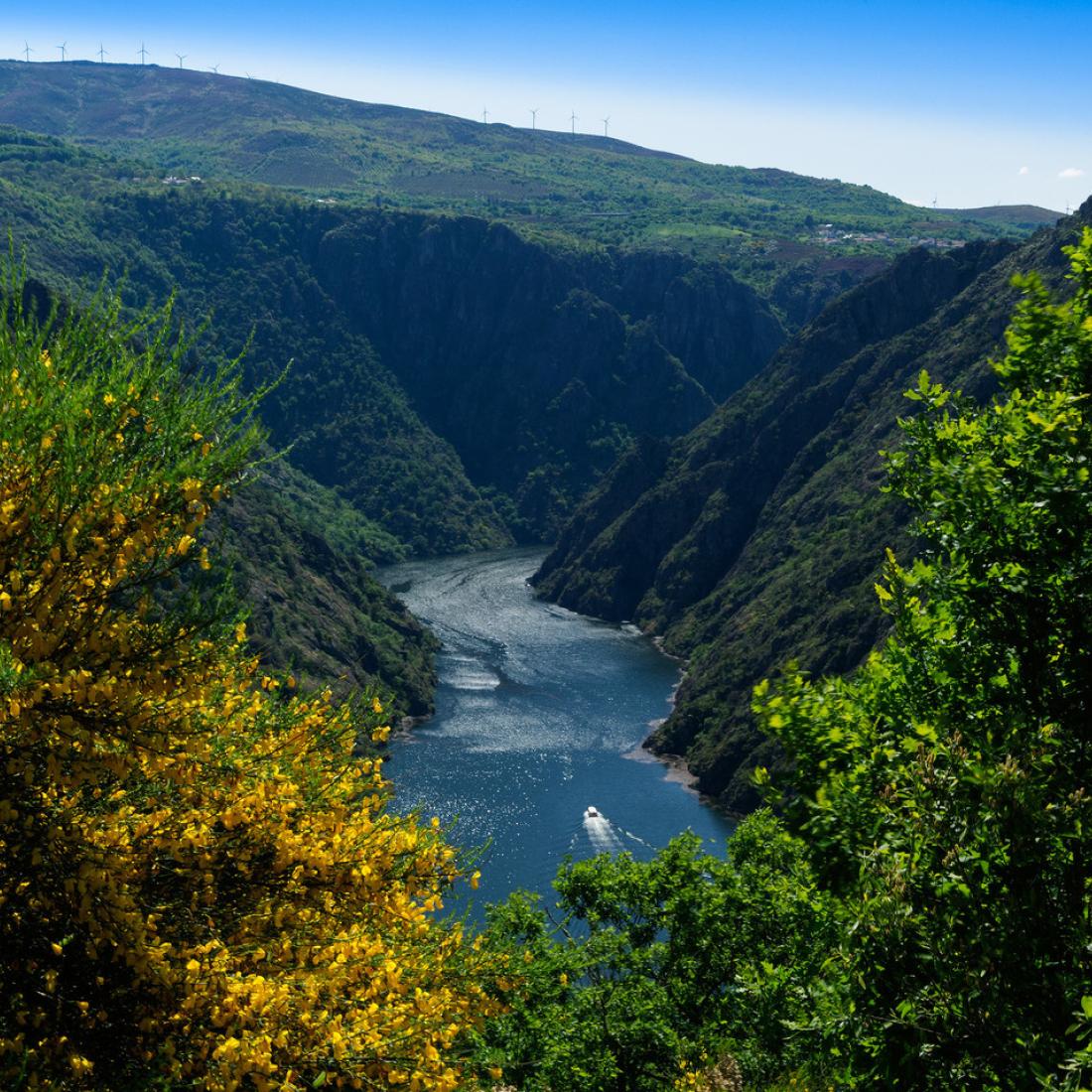 Ribeira Sacra. Canón do Sil