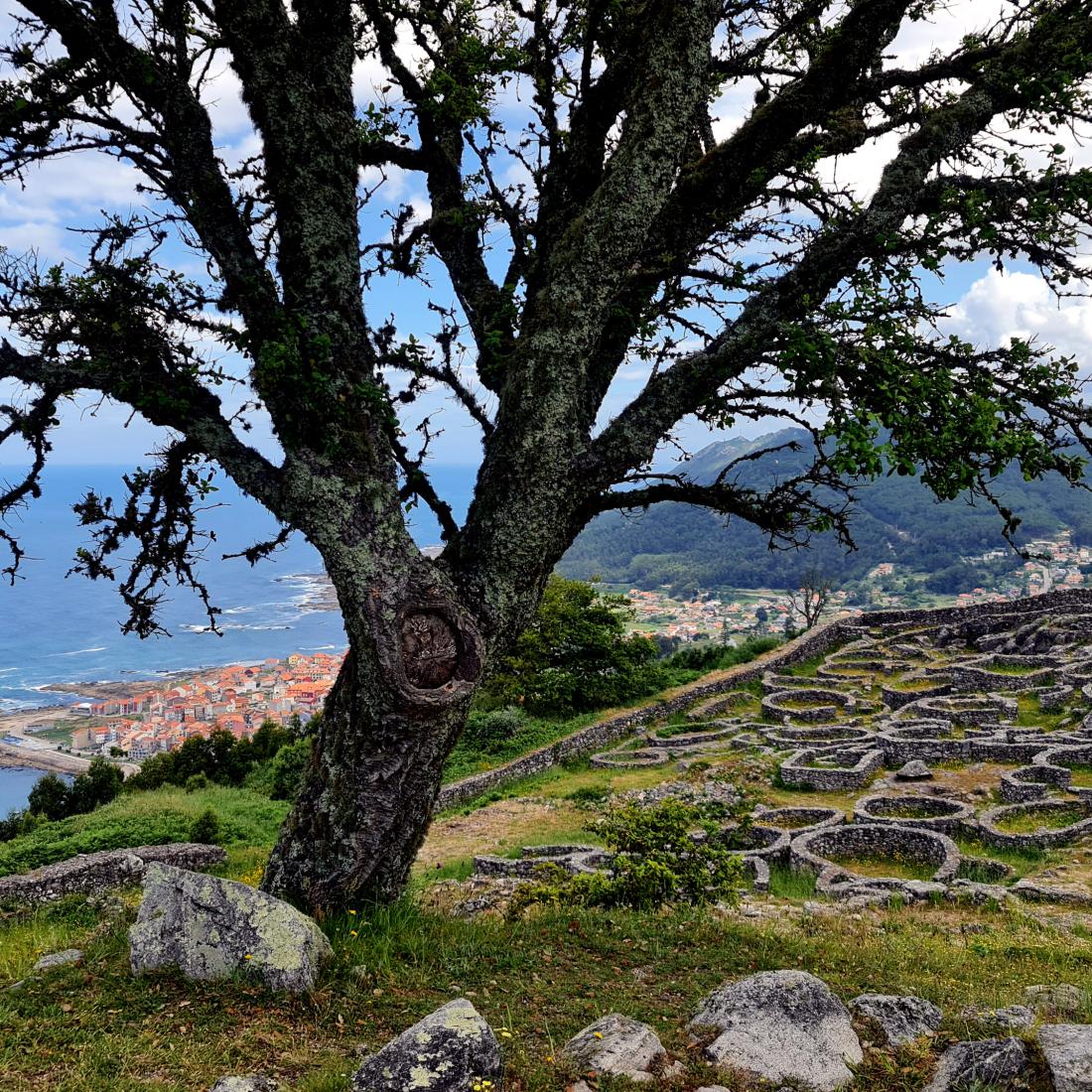 Castro de Santa Tegra