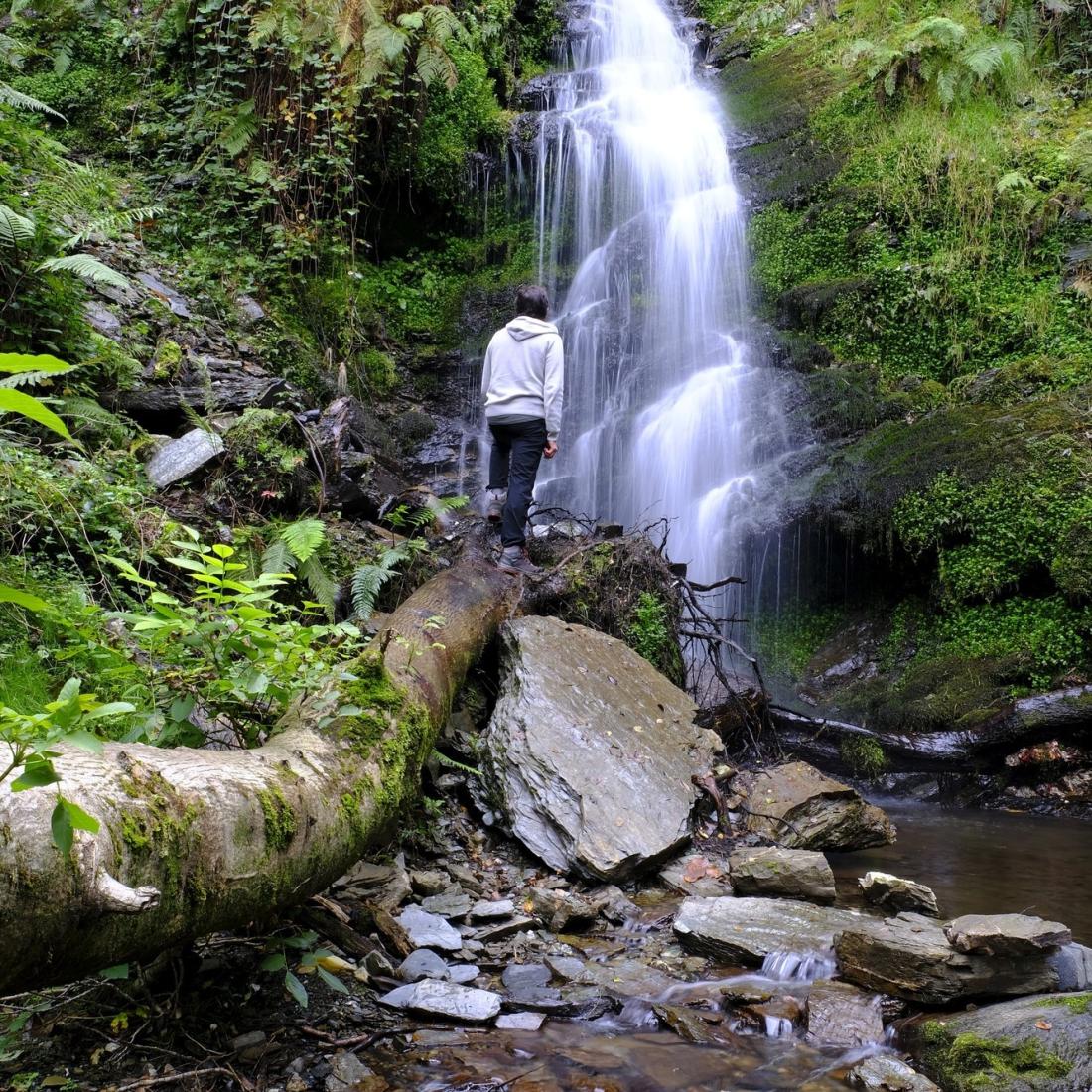 Fervenza da Pincheira