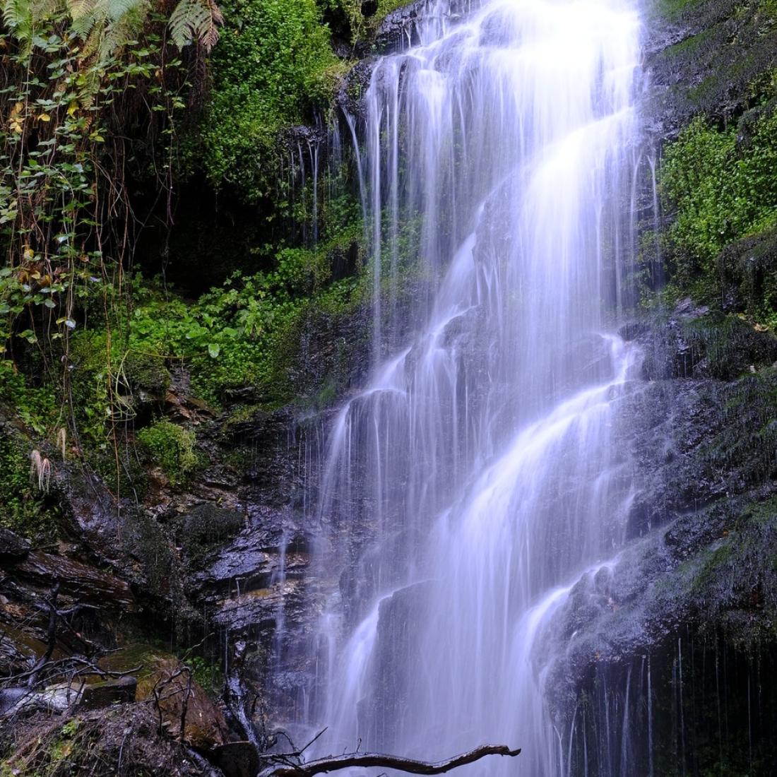 Fervenza da Pincheira