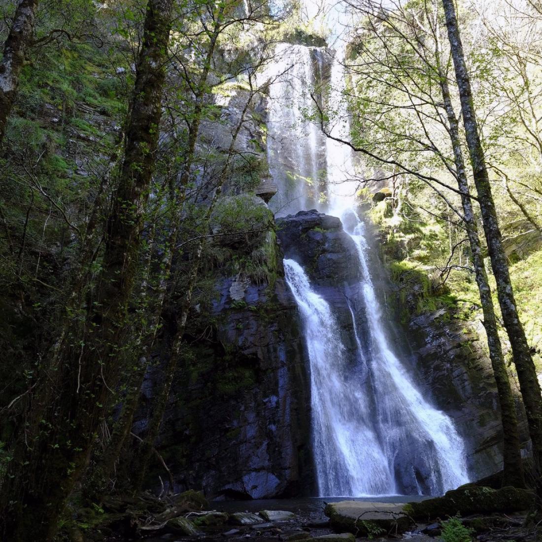 Fervenza Seimeira de Vilagocende