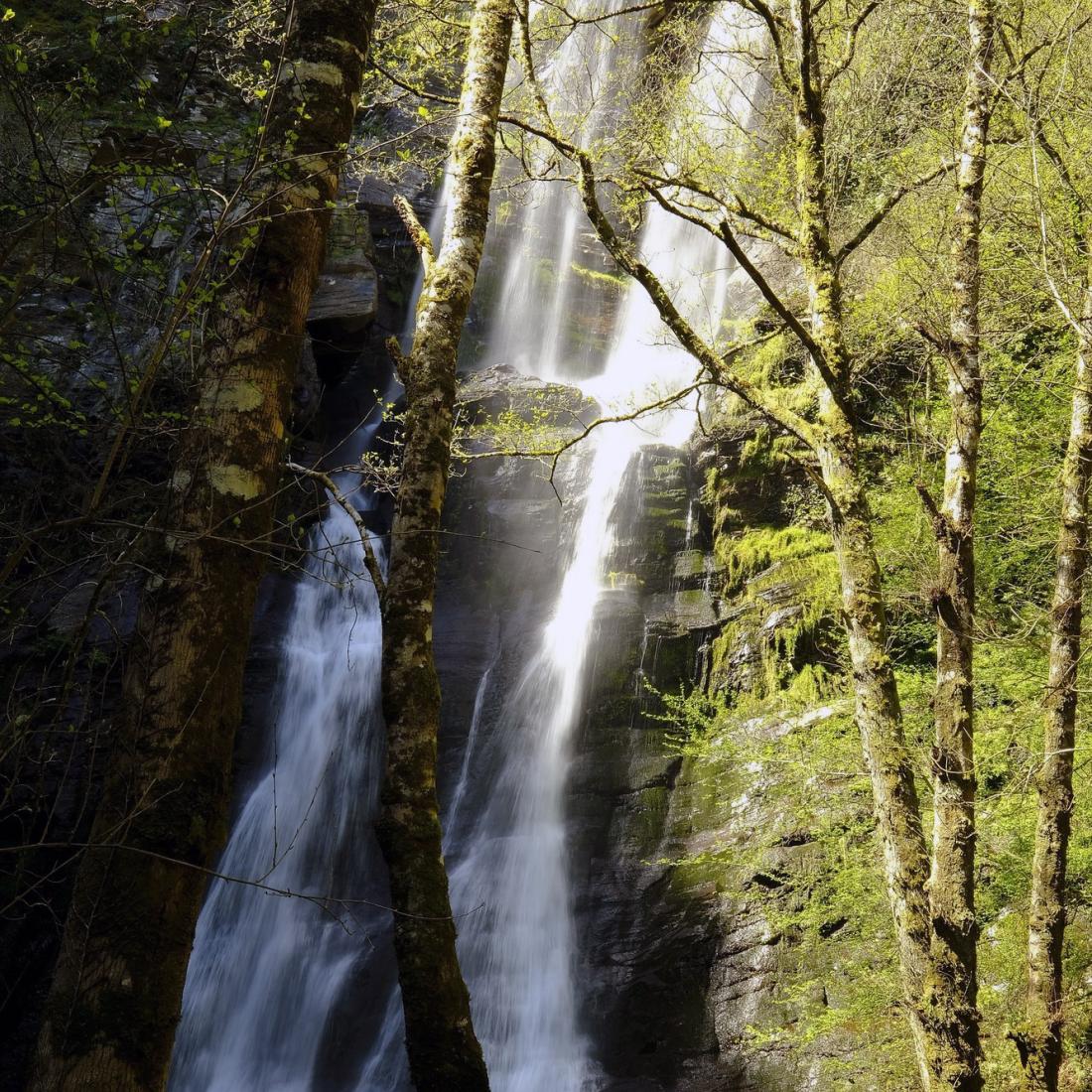 Fervenza Seimeira de Vilagocende