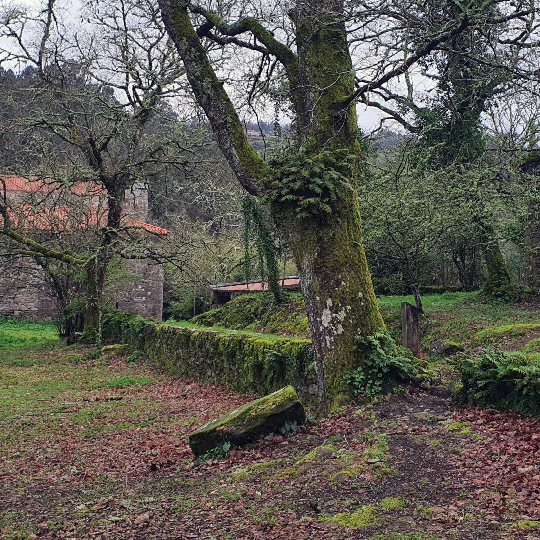 Mosteiro de San Lourenzo de Carboeiro
