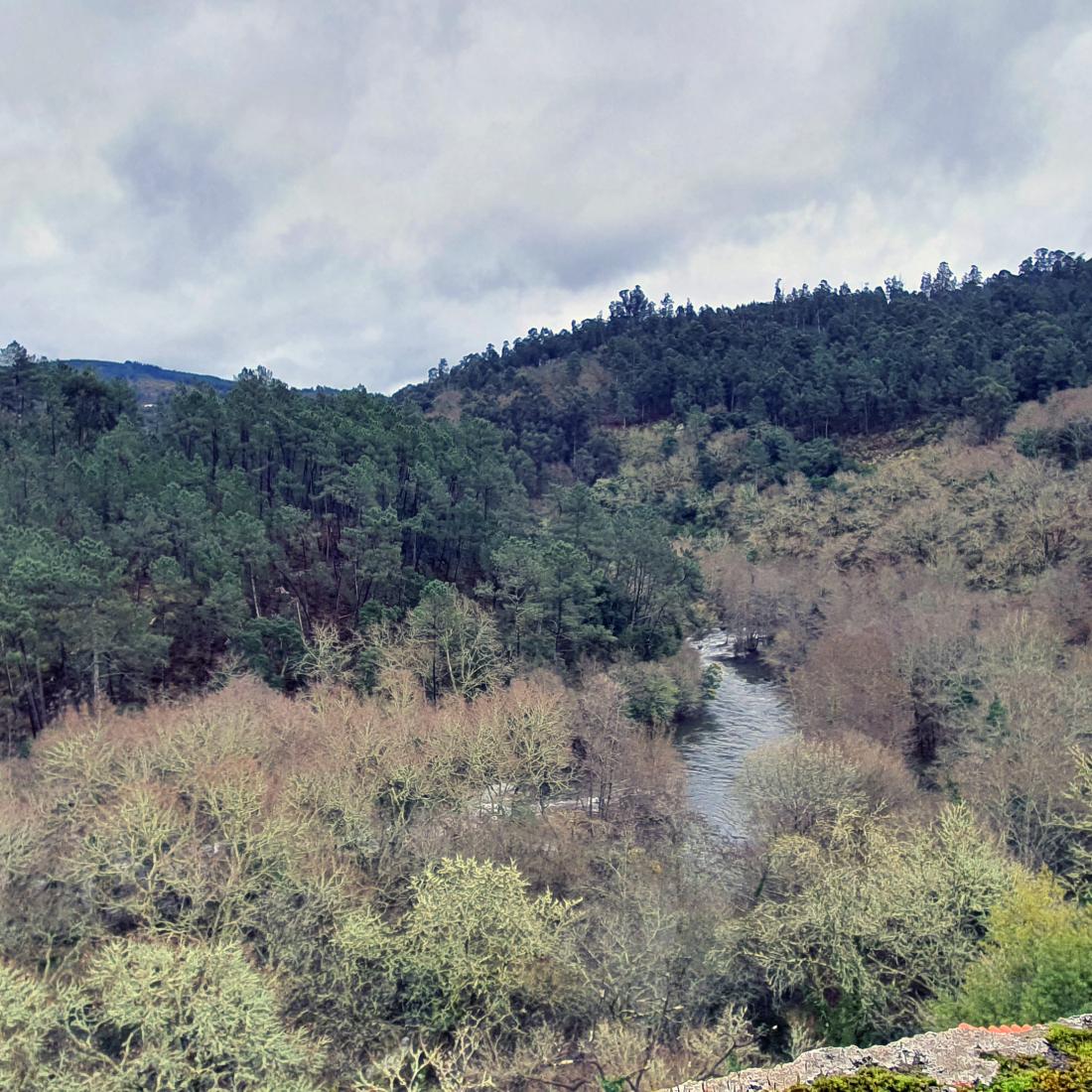 Mosteiro de San Lourenzo de Carboeiro