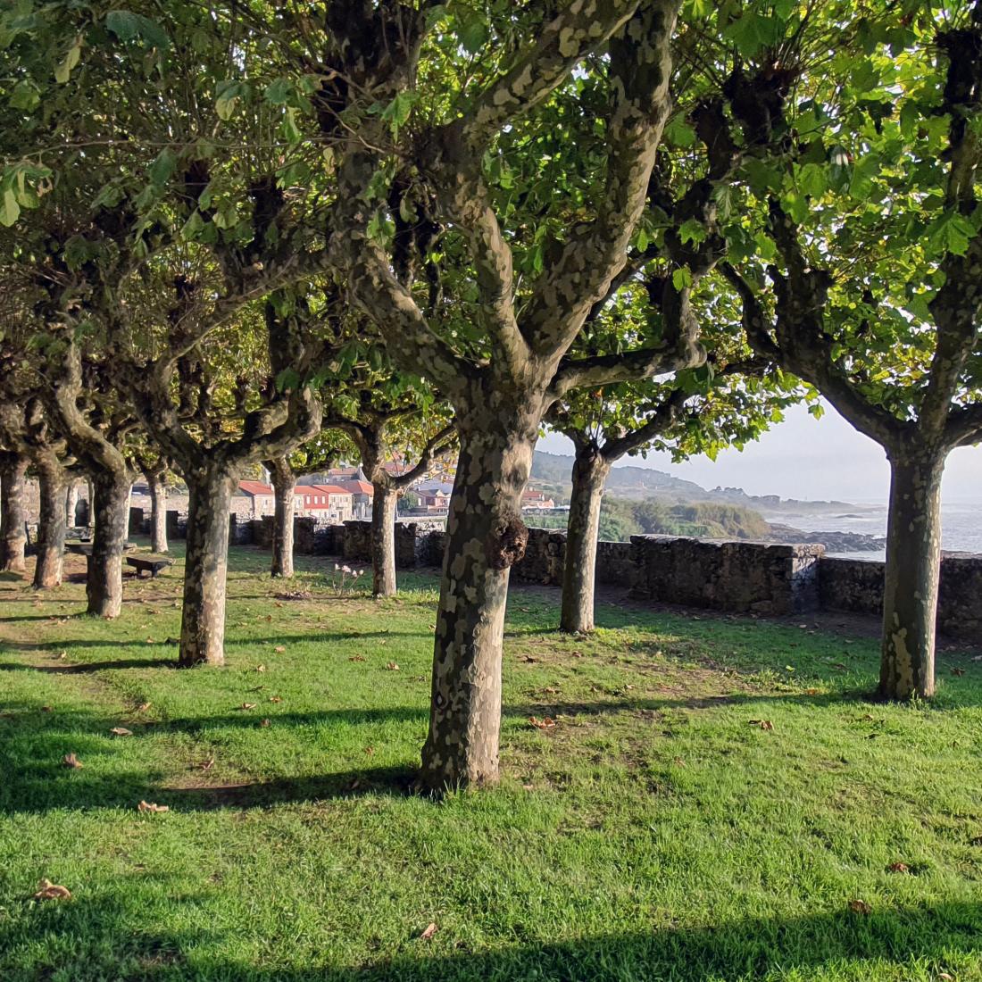 Mosteiro de Santa María de Oia