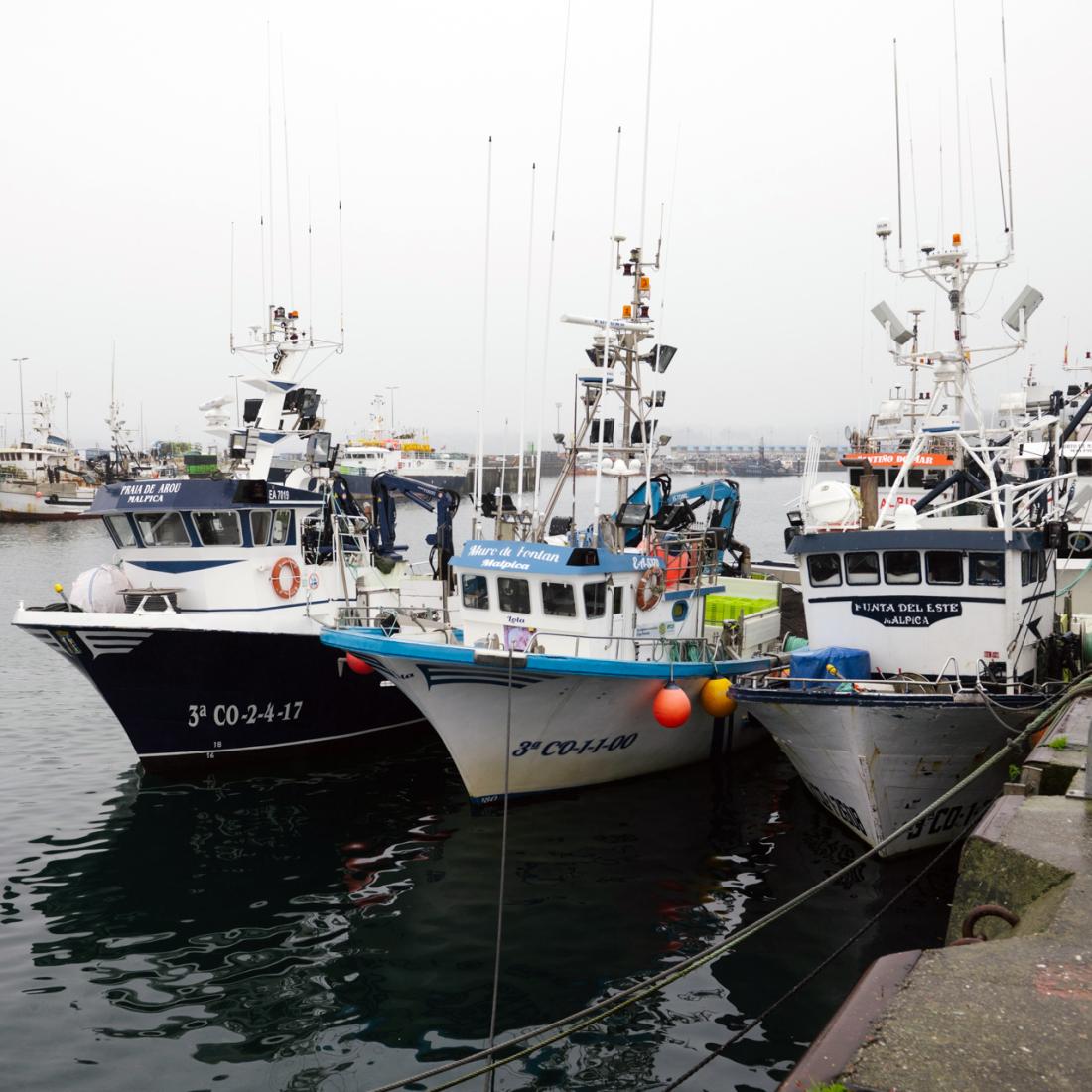 Porto da Coruña. Peirao de Oza