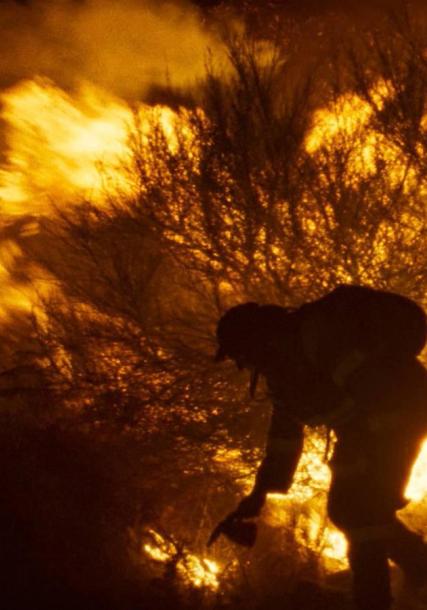 Bombeiro en incendio