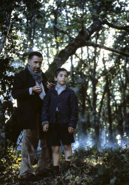 Fuco and Malvis in The living forest