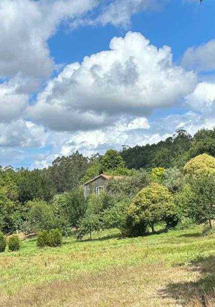 pradera