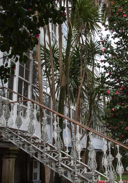 Café Moderno (Pontevedra)