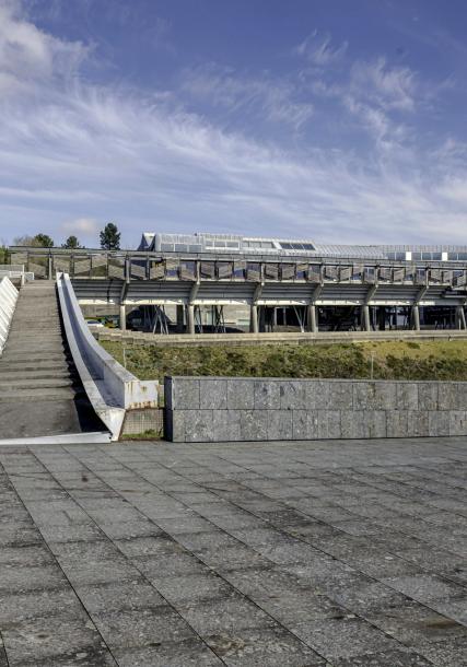 Vigo's University campus