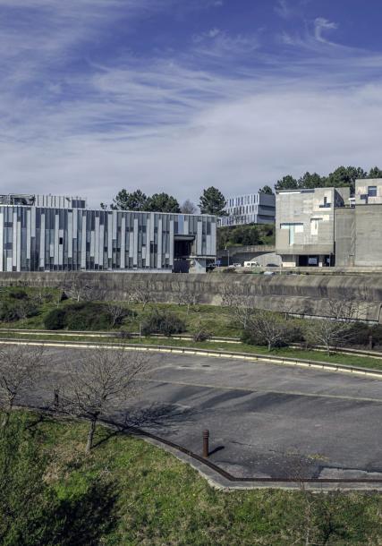 Vigo's University campus
