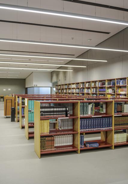 Vigo's University campus