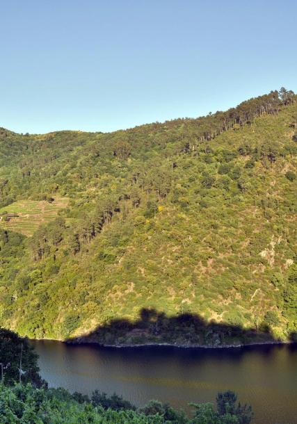 Ribeira Sacra. Canón do Miño