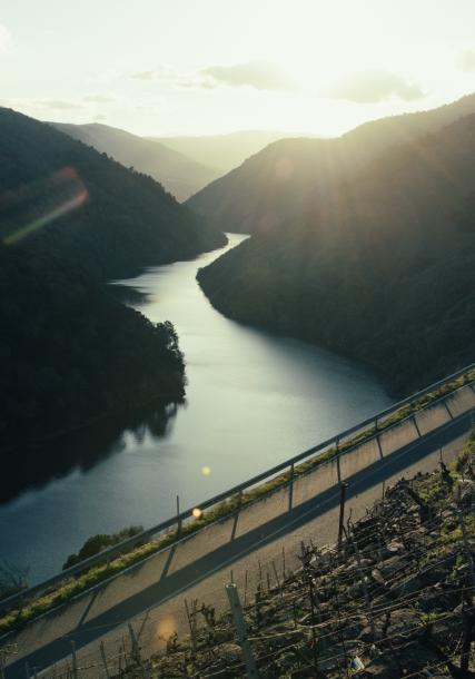 Ribeira Sacra. Sil Canyon