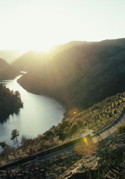Ribeira Sacra. Sil Canyon