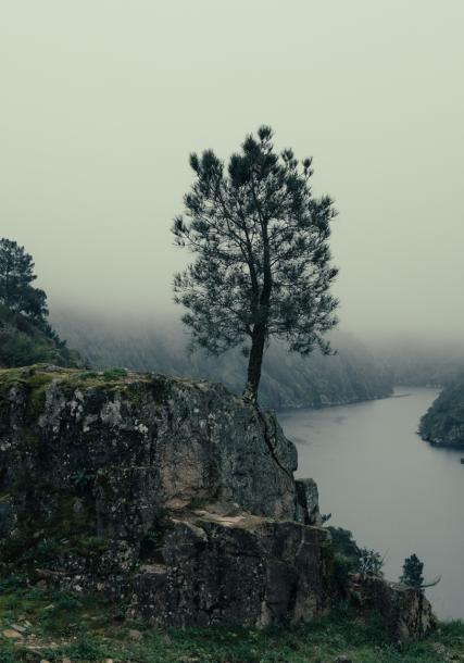 Ribeira Sacra. Sil Canyon