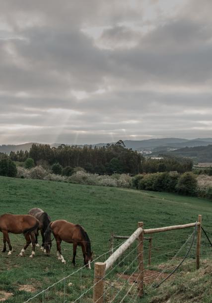 Country holiday house Calma Nórdica