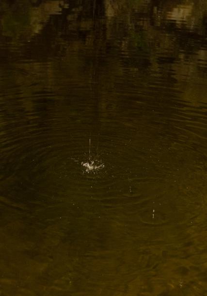 Castelo de San Antón