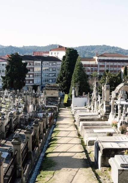 San Francisco's cemetery (Ourense)
