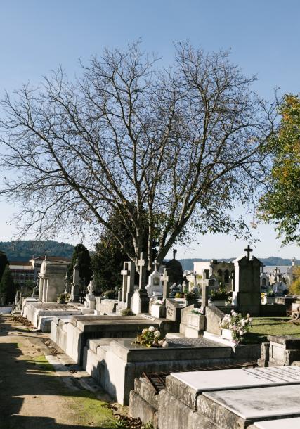San Francisco's cemetery (Ourense)