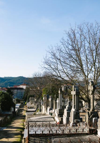 San Francisco's cemetery (Ourense)