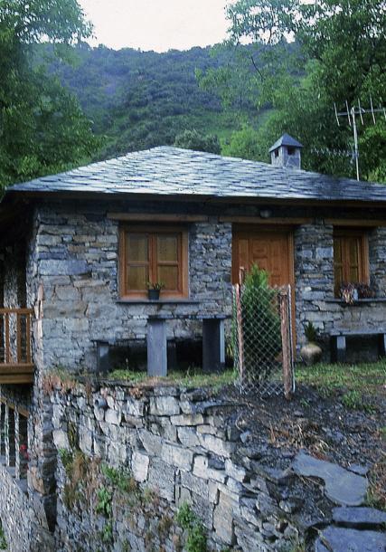 Forest of Devesa da Rogueira