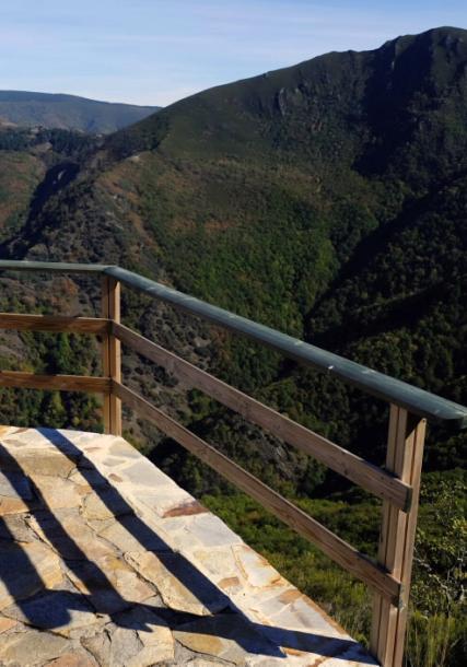 Forest of Devesa da Rogueira