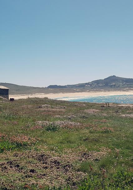 Ermida de Santa Comba