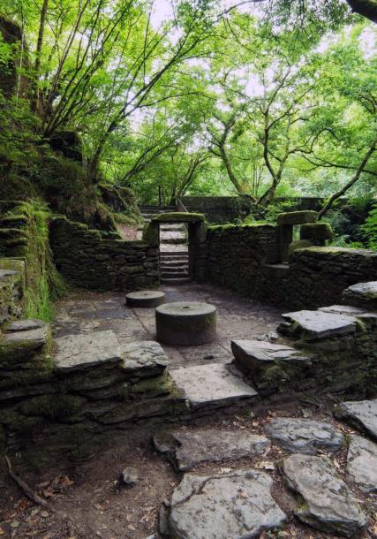 Fragas do Eume (Forested areas by the Eume river)