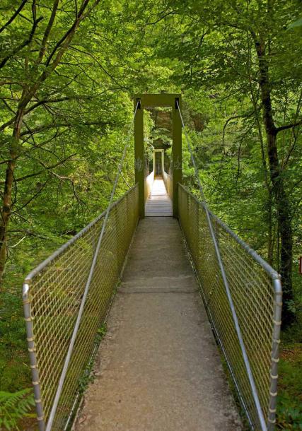 Fragas do Eume (Forested areas by the Eume river)