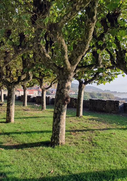 Monastery of Santa María de Oia