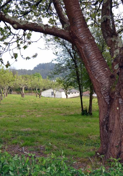 Pazo (traditional Galician manor house) of As Cadeas