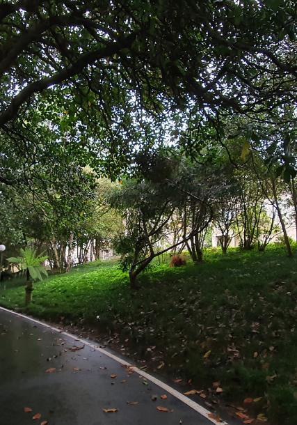 Pazo [traditional Galician manor house] of Lourizán