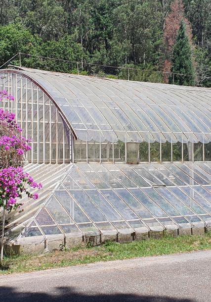 Pazo [traditional Galician manor house] of Lourizán