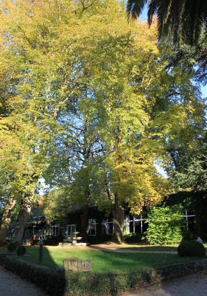 Pazo (traditional Galician manor house) of Orto