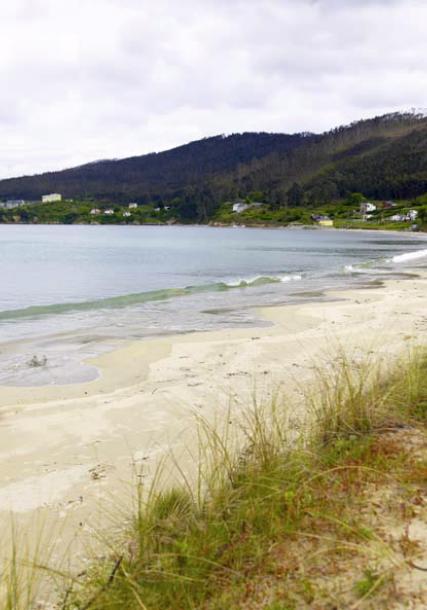Arealonga's beach. O Vicedo