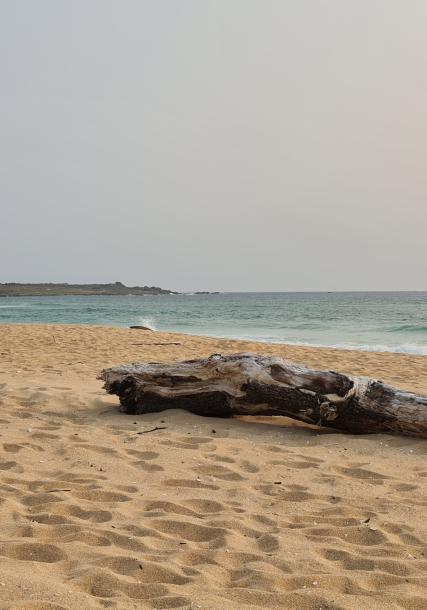 O Vilar Beach. Ribeira