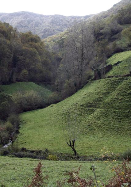 Serra do Courel (O Courel mountain range)