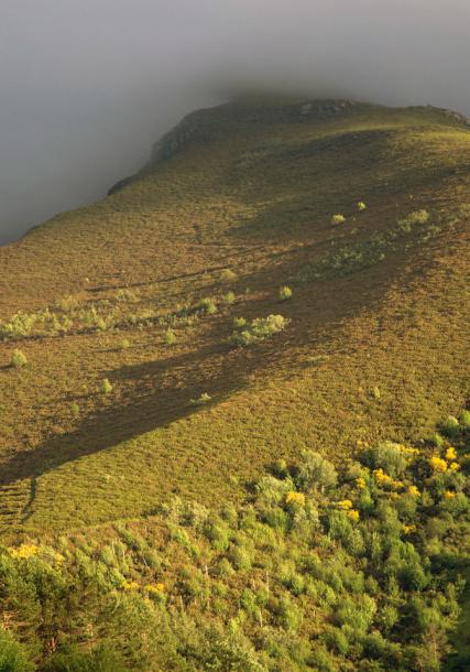 Serra do Courel (O Courel mountain range)