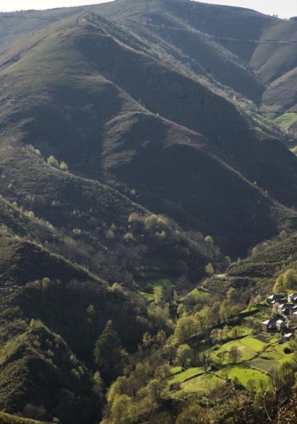Serra dos Ancares (Os Ancares mountain range)