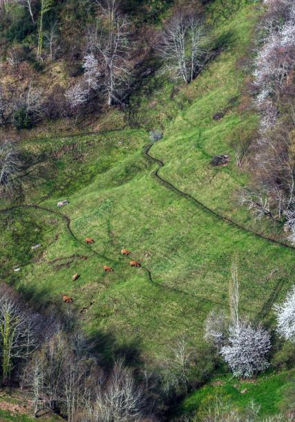 Serra dos Ancares (Os Ancares mountain range)